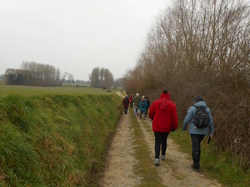 PEPINIERES DE MAULDE