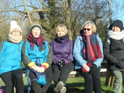 VALENCIENNES - LE VIGNOBLE